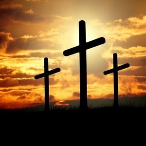 Meet your Posher, Shelly